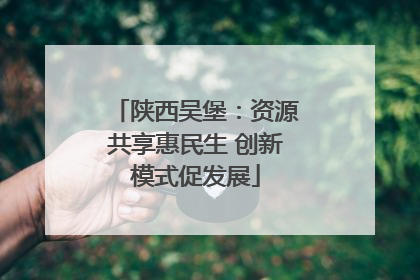 陕西吴堡：资源共享惠民生 创新模式促发展