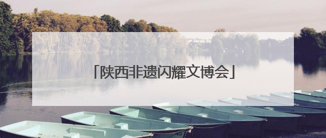 陕西非遗闪耀文博会