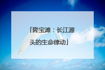 隆宝滩：长江源头的生命律动