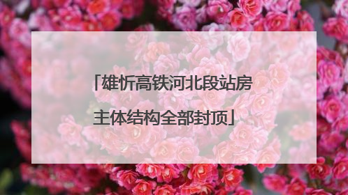 雄忻高铁河北段站房主体结构全部封顶