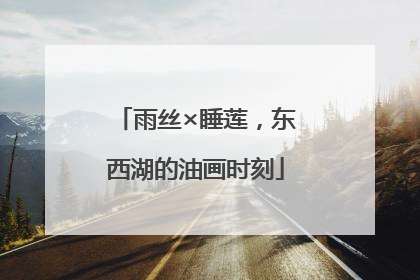 雨丝×睡莲，东西湖的油画时刻
