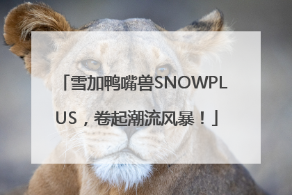 雪加鸭嘴兽SNOWPLUS，卷起潮流风暴！