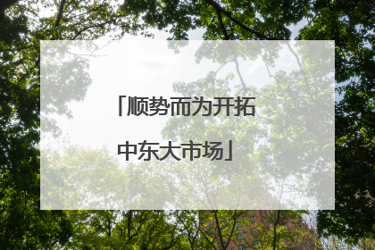 顺势而为开拓中东大市场
