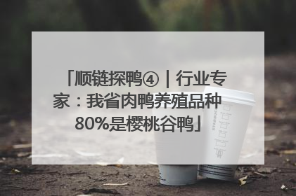 顺链探鸭④｜行业专家：我省肉鸭养殖品种80%是樱桃谷鸭