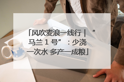 风吹麦浪一线行｜“马兰 1 号”：少浇一次水 多产一成粮