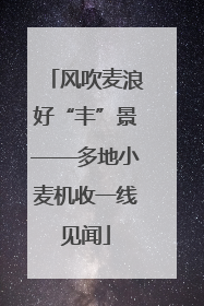 风吹麦浪好“丰”景——多地小麦机收一线见闻