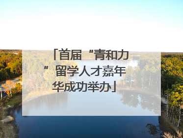 首届“青和力”留学人才嘉年华成功举办