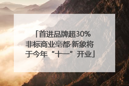 首进品牌超30% 非标商业亳都·新象将于今年“十一”开业