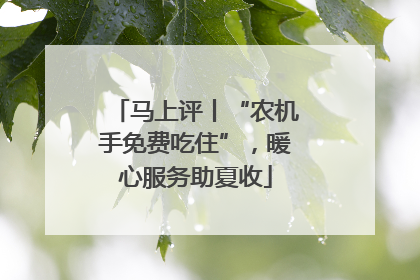 马上评丨“农机手免费吃住”，暖心服务助夏收