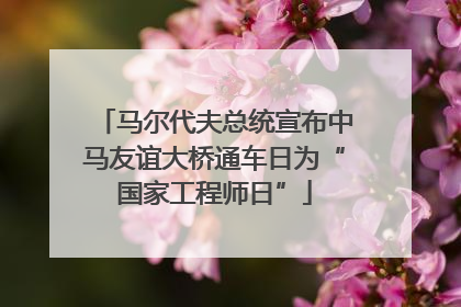 马尔代夫总统宣布中马友谊大桥通车日为“国家工程师日”