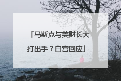 马斯克与美财长大打出手？白宫回应