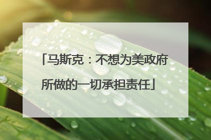 马斯克：不想为美政府所做的一切承担责任
