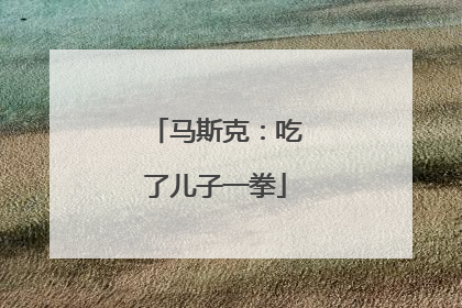 马斯克：吃了儿子一拳