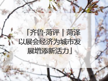 齐鲁·菏评｜菏泽以展会经济为城市发展增添新活力