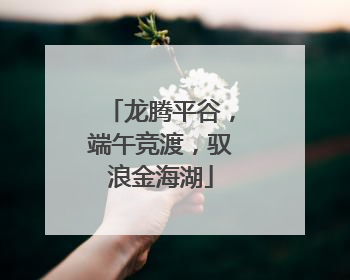 龙腾平谷，端午竞渡，驭浪金海湖