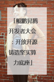 鲲鹏昇腾开发者大会：开放开源铸造坚实算力底座