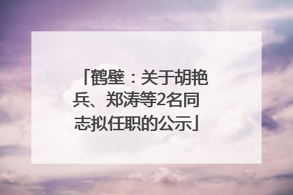 鹤壁：关于胡艳兵、郑涛等2名同志拟任职的公示