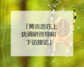 黄喜忠在上犹调研督导和下访接访