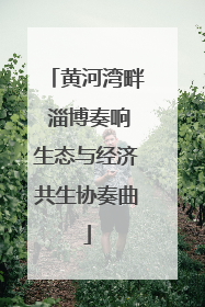 黄河湾畔 淄博奏响生态与经济共生协奏曲