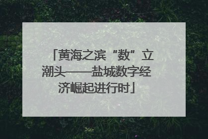 黄海之滨“数”立潮头——盐城数字经济崛起进行时
