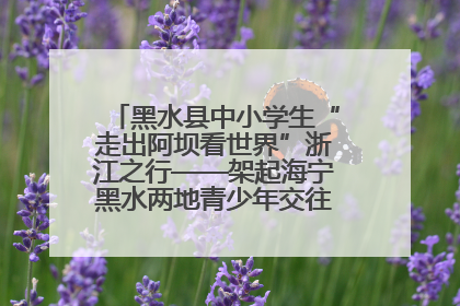 黑水县中小学生“走出阿坝看世界”浙江之行——架起海宁黑水两地青少年交往交流交融新桥梁