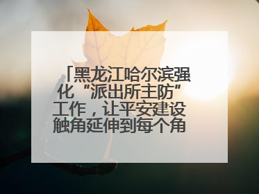 黑龙江哈尔滨强化“派出所主防”工作，让平安建设触角延伸到每个角落……
