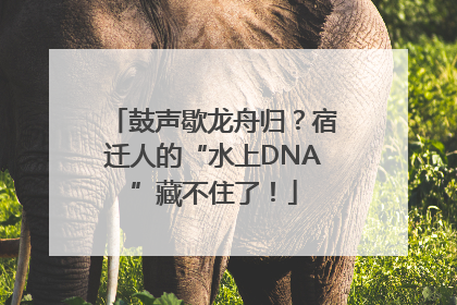 鼓声歇龙舟归？宿迁人的“水上DNA”藏不住了！