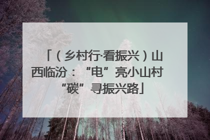 （乡村行·看振兴）山西临汾：“电”亮小山村 “碳”寻振兴路