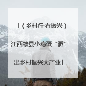（乡村行·看振兴）江西赣县小鸡蛋“孵”出乡村振兴大产业