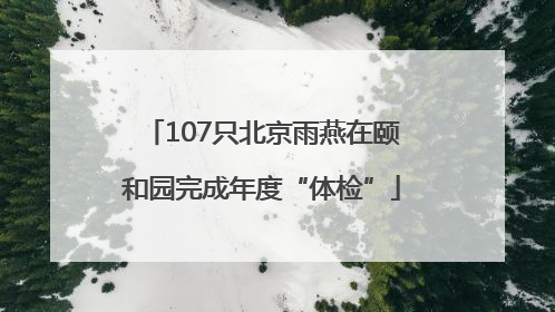 107只北京雨燕在颐和园完成年度“体检”