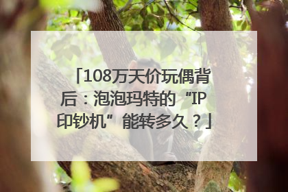108万天价玩偶背后：泡泡玛特的“IP印钞机”能转多久？