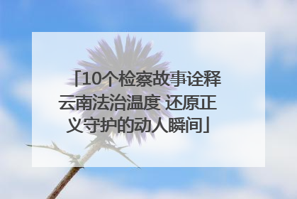 10个检察故事诠释云南法治温度 还原正义守护的动人瞬间