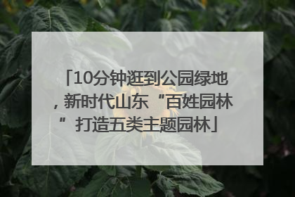 10分钟逛到公园绿地，新时代山东“百姓园林”打造五类主题园林