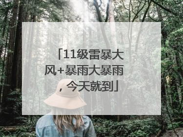 11级雷暴大风+暴雨大暴雨，今天就到
