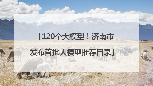 120个大模型！济南市发布首批大模型推荐目录