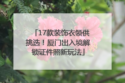 17款装饰衣领供挑选！厦门出入境解锁证件照新玩法