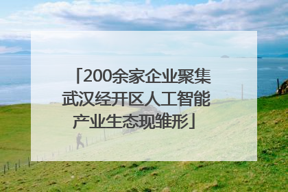 200余家企业聚集 武汉经开区人工智能产业生态现雏形