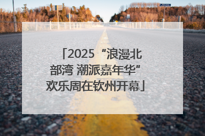 2025“浪漫北部湾 潮派嘉年华”欢乐周在钦州开幕