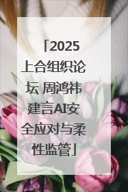 2025上合组织论坛 周鸿祎建言AI安全应对与柔性监管