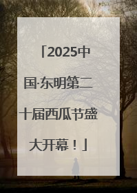 2025中国·东明第二十届西瓜节盛大开幕！