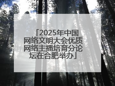 2025年中国网络文明大会优质网络主播培育分论坛在合肥举办