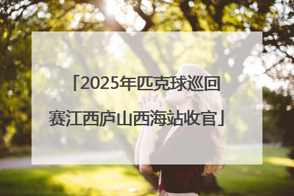 2025年匹克球巡回赛江西庐山西海站收官