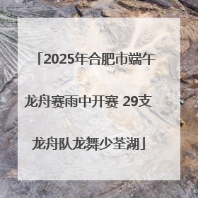 2025年合肥市端午龙舟赛雨中开赛 29支龙舟队龙舞少荃湖