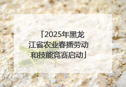 2025年黑龙江省农业春播劳动和技能竞赛启动
