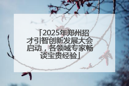 2025年郑州招才引智创新发展大会启动，各领域专家畅谈宝贵经验