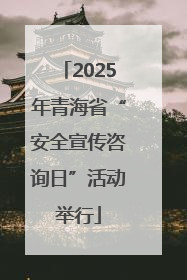 2025年青海省“安全宣传咨询日”活动举行