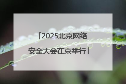 2025北京网络安全大会在京举行