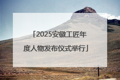 2025安徽工匠年度人物发布仪式举行