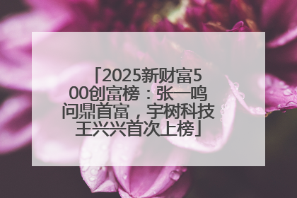 2025新财富500创富榜：张一鸣问鼎首富，宇树科技王兴兴首次上榜