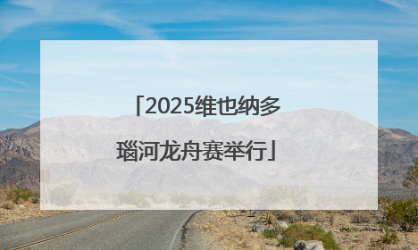 2025维也纳多瑙河龙舟赛举行